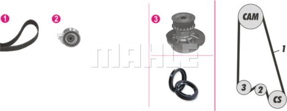 Wilmink Group WG2182198 - Water Pump & Timing Belt Set www.autospares.lv