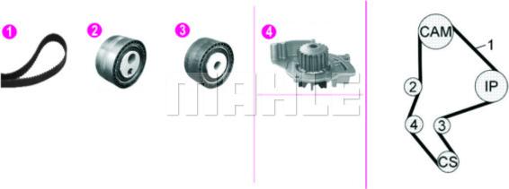 Wilmink Group WG2182140 - Ūdenssūknis + Zobsiksnas komplekts autospares.lv