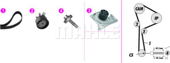 Wilmink Group WG2182141 - Ūdenssūknis + Zobsiksnas komplekts www.autospares.lv