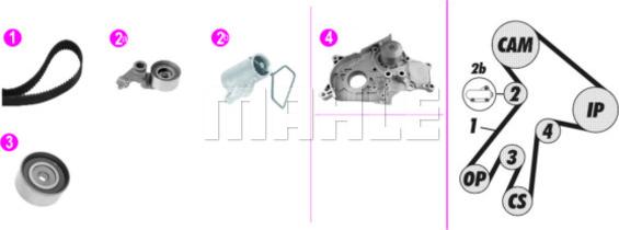 Wilmink Group WG2182143 - Ūdenssūknis + Zobsiksnas komplekts autospares.lv