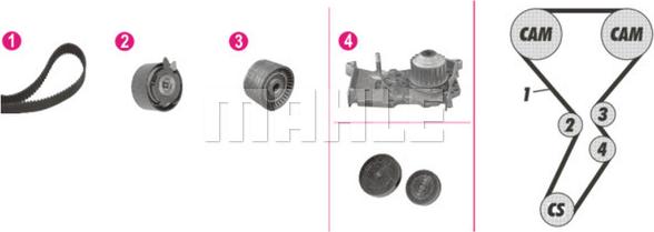 Wilmink Group WG2182147 - Ūdenssūknis + Zobsiksnas komplekts www.autospares.lv