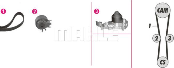 Wilmink Group WG2182159 - Ūdenssūknis + Zobsiksnas komplekts www.autospares.lv