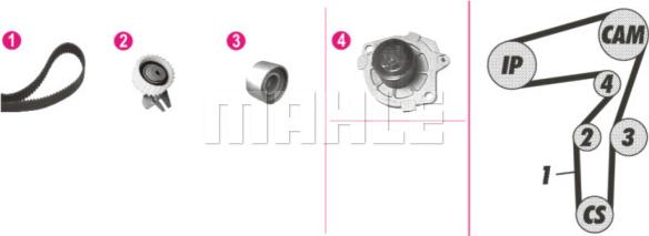 Wilmink Group WG2182154 - Water Pump & Timing Belt Set www.autospares.lv