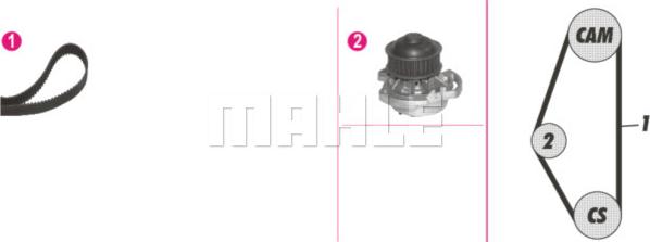 Wilmink Group WG2182155 - Ūdenssūknis + Zobsiksnas komplekts www.autospares.lv