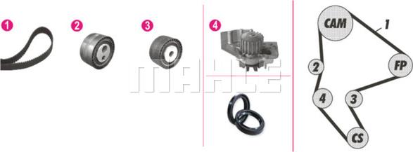 Wilmink Group WG2182158 - Ūdenssūknis + Zobsiksnas komplekts autospares.lv