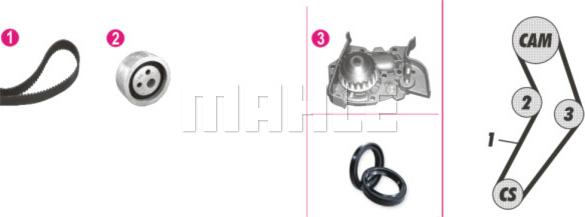 Wilmink Group WG2182153 - Ūdenssūknis + Zobsiksnas komplekts autospares.lv