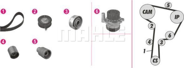 Wilmink Group WG2182163 - Ūdenssūknis + Zobsiksnas komplekts autospares.lv