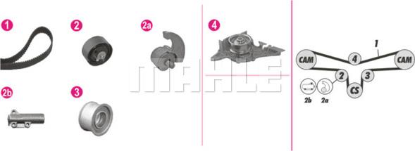 Wilmink Group WG2182105 - Ūdenssūknis + Zobsiksnas komplekts www.autospares.lv