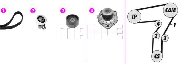 Wilmink Group WG2182103 - Ūdenssūknis + Zobsiksnas komplekts www.autospares.lv