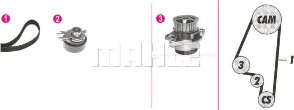 Wilmink Group WG2182102 - Ūdenssūknis + Zobsiksnas komplekts www.autospares.lv