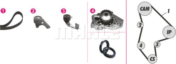 Wilmink Group WG2182180 - Ūdenssūknis + Zobsiksnas komplekts autospares.lv