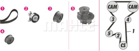 Wilmink Group WG2182188 - Ūdenssūknis + Zobsiksnas komplekts www.autospares.lv