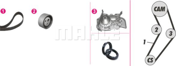 Wilmink Group WG2182182 - Ūdenssūknis + Zobsiksnas komplekts autospares.lv