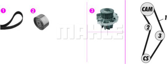 Wilmink Group WG2182139 - Ūdenssūknis + Zobsiksnas komplekts autospares.lv