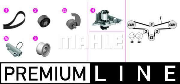 Wilmink Group WG2182135 - Ūdenssūknis + Zobsiksnas komplekts autospares.lv