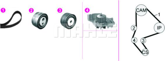 Wilmink Group WG2182132 - Ūdenssūknis + Zobsiksnas komplekts autospares.lv