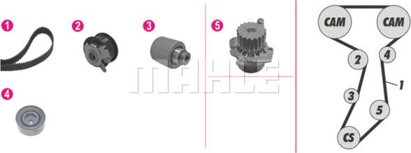 Wilmink Group WG2182124 - Ūdenssūknis + Zobsiksnas komplekts www.autospares.lv