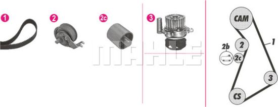 Wilmink Group WG2182126 - Ūdenssūknis + Zobsiksnas komplekts www.autospares.lv