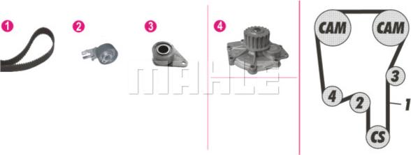 Wilmink Group WG2182120 - Ūdenssūknis + Zobsiksnas komplekts www.autospares.lv