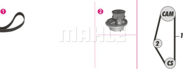 Wilmink Group WG2182128 - Ūdenssūknis + Zobsiksnas komplekts www.autospares.lv