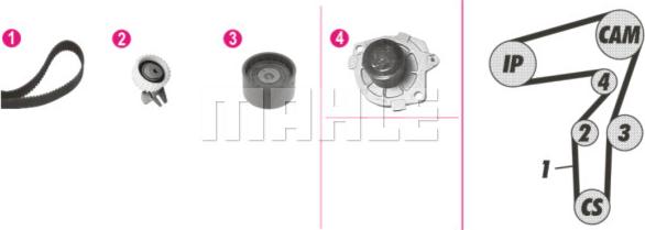 Wilmink Group WG2182127 - Ūdenssūknis + Zobsiksnas komplekts www.autospares.lv