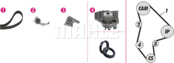 Wilmink Group WG2182175 - Ūdenssūknis + Zobsiksnas komplekts www.autospares.lv