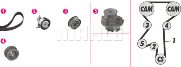 Wilmink Group WG2182178 - Ūdenssūknis + Zobsiksnas komplekts autospares.lv