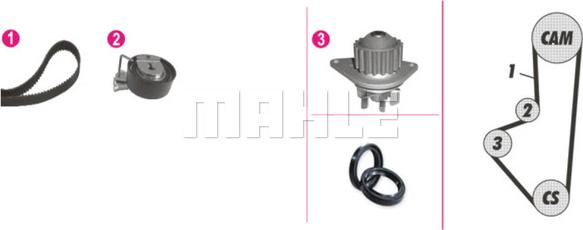 Wilmink Group WG2182173 - Ūdenssūknis + Zobsiksnas komplekts www.autospares.lv