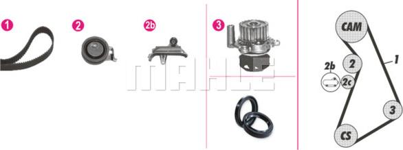 Wilmink Group WG2182204 - Ūdenssūknis + Zobsiksnas komplekts www.autospares.lv