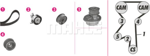 Wilmink Group WG2182206 - Ūdenssūknis + Zobsiksnas komplekts autospares.lv