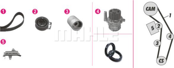 Wilmink Group WG2182207 - Ūdenssūknis + Zobsiksnas komplekts autospares.lv