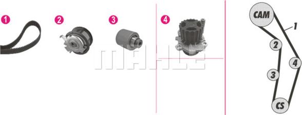 Wilmink Group WG2182216 - Ūdenssūknis + Zobsiksnas komplekts www.autospares.lv