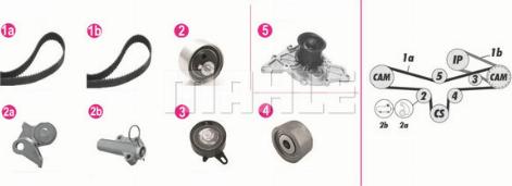 Wilmink Group WG2182210 - Ūdenssūknis + Zobsiksnas komplekts autospares.lv