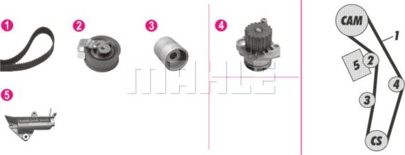 Wilmink Group WG2182218 - Ūdenssūknis + Zobsiksnas komplekts www.autospares.lv