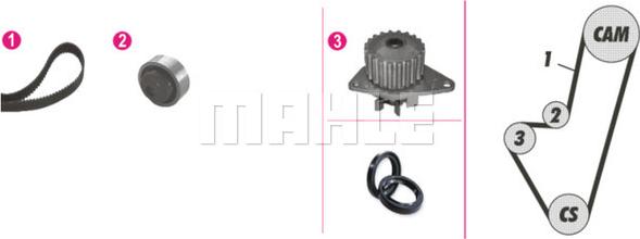 Wilmink Group WG2182213 - Ūdenssūknis + Zobsiksnas komplekts www.autospares.lv