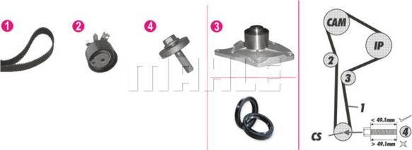 Wilmink Group WG2182217 - Ūdenssūknis + Zobsiksnas komplekts www.autospares.lv