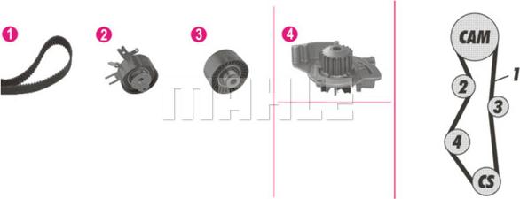 Wilmink Group WG2182230 - Водяной насос + комплект зубчатого ремня ГРМ www.autospares.lv