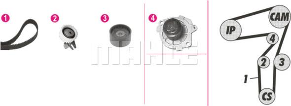 Wilmink Group WG2182233 - Water Pump & Timing Belt Set www.autospares.lv