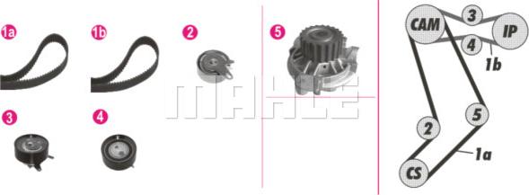 Wilmink Group WG2182232 - Ūdenssūknis + Zobsiksnas komplekts autospares.lv