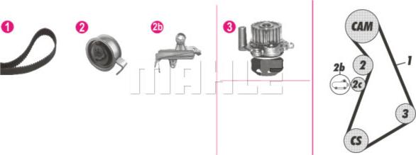 Wilmink Group WG2182226 - Ūdenssūknis + Zobsiksnas komplekts www.autospares.lv