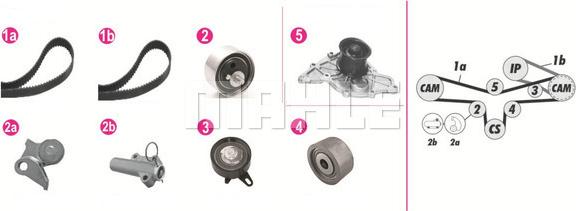 Wilmink Group WG2182221 - Ūdenssūknis + Zobsiksnas komplekts autospares.lv