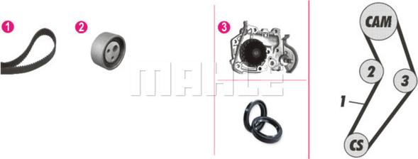 Wilmink Group WG2182223 - Ūdenssūknis + Zobsiksnas komplekts www.autospares.lv