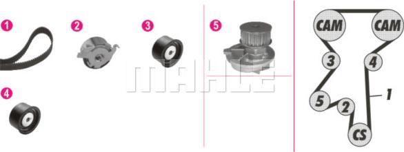 Wilmink Group WG2182222 - Water Pump & Timing Belt Set www.autospares.lv