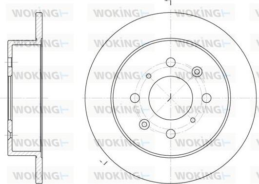 Woking D6521.00 - Bremžu diski www.autospares.lv