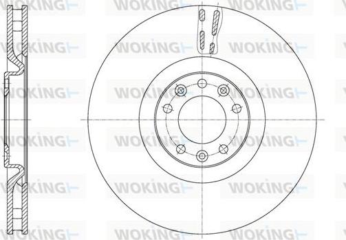 Woking D61629.10 - Bremžu diski www.autospares.lv