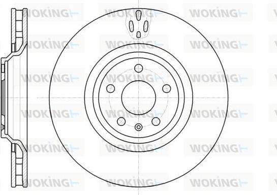 Woking D61213.10 - Bremžu diski www.autospares.lv