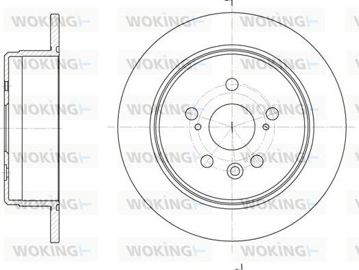 Woking D6245.00 - Bremžu diski www.autospares.lv