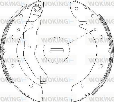 Woking Z4396.01 - Bremžu loki autospares.lv