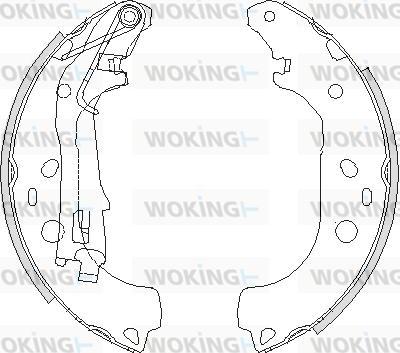 Woking Z4206.00 - Bremžu loki autospares.lv