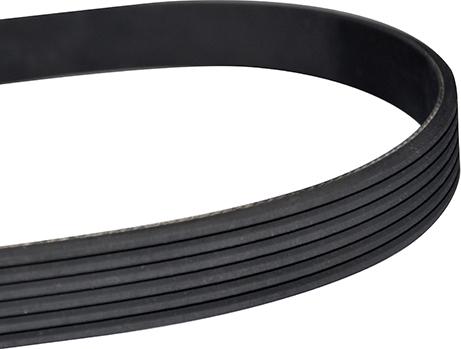 WXQP 10875 - V-Ribbed Belt www.autospares.lv